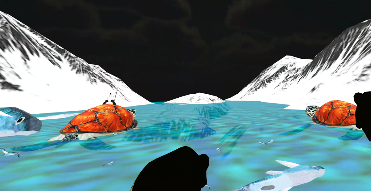 Turtle Scene 1200